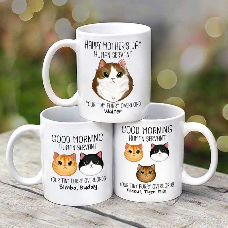 Good Morning Human Servant Fluffy Cat Face Personalized Mug