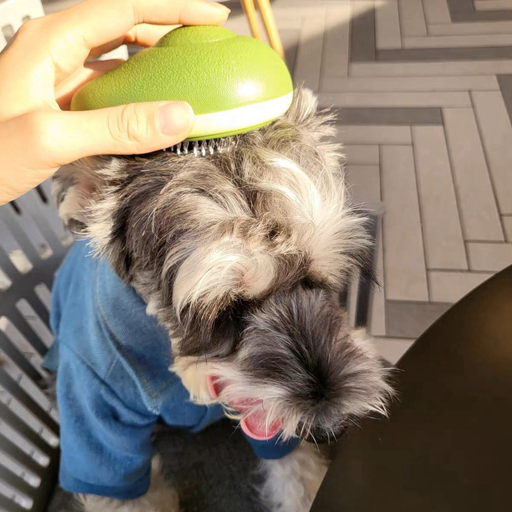 Portable Cat Grooming Massage Brush One-Button Remove