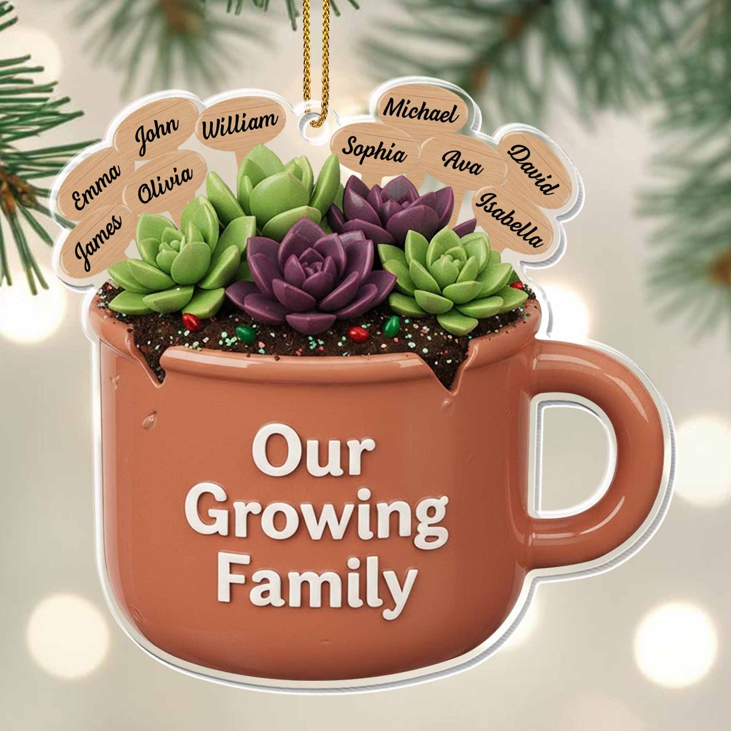 Our Growing Family Succulent Coffee Mug - Personalized Custom Acrylic Ornament, Christmas Gift - GARD024_ACO
