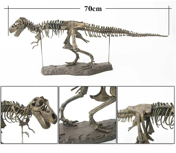 Dinosaur Skeleton Toys Ornament Simulation T-Rex Model