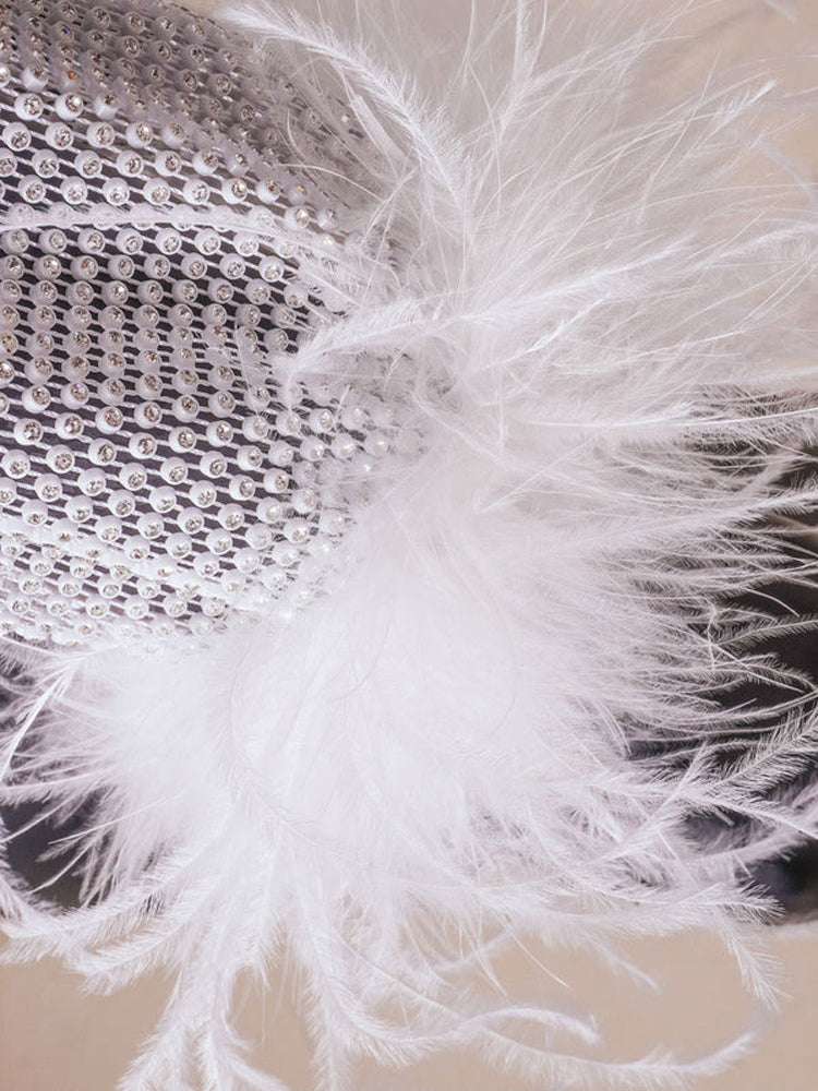 sparkly feather trim sheer fishnet mini dress