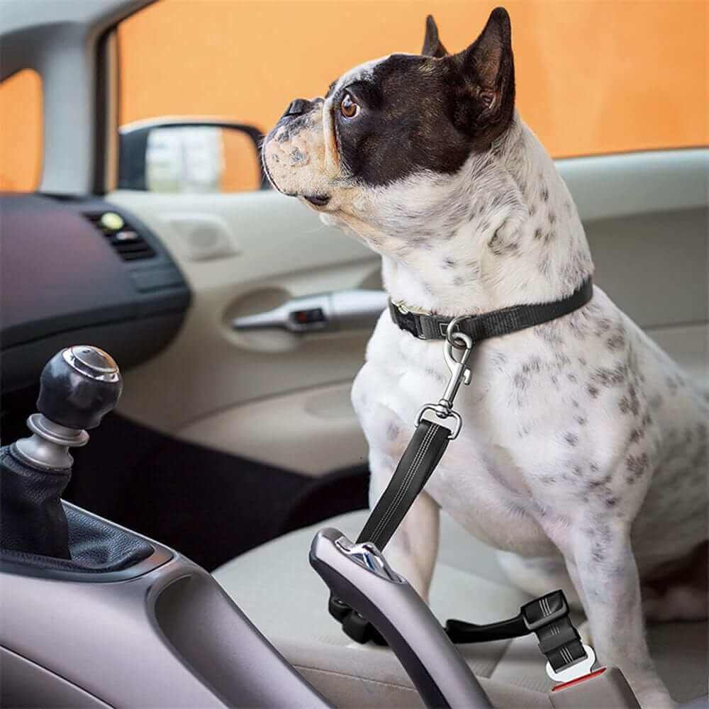 Dog Seat Belt Car Harness