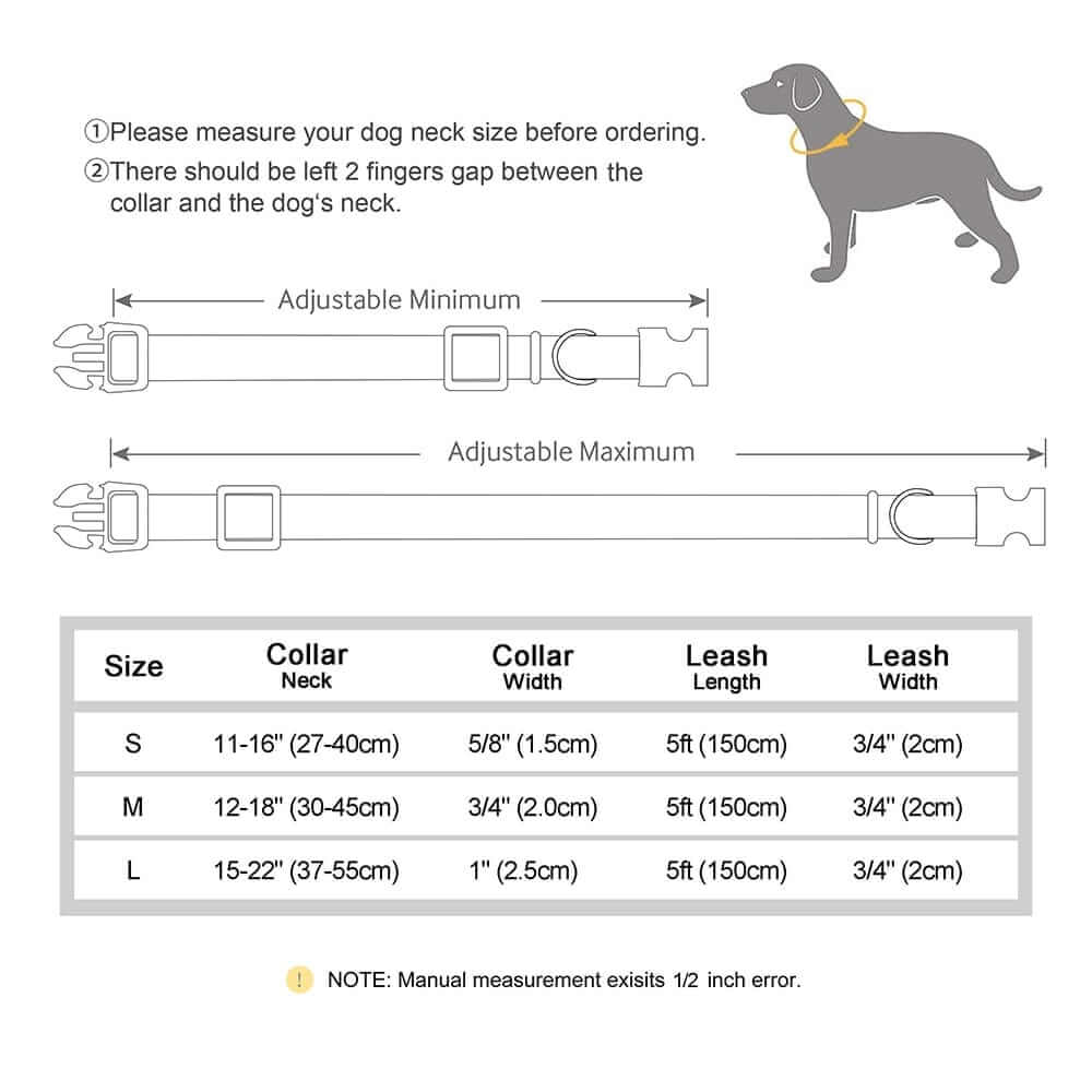 Nylon ID Dog Collar with Leash