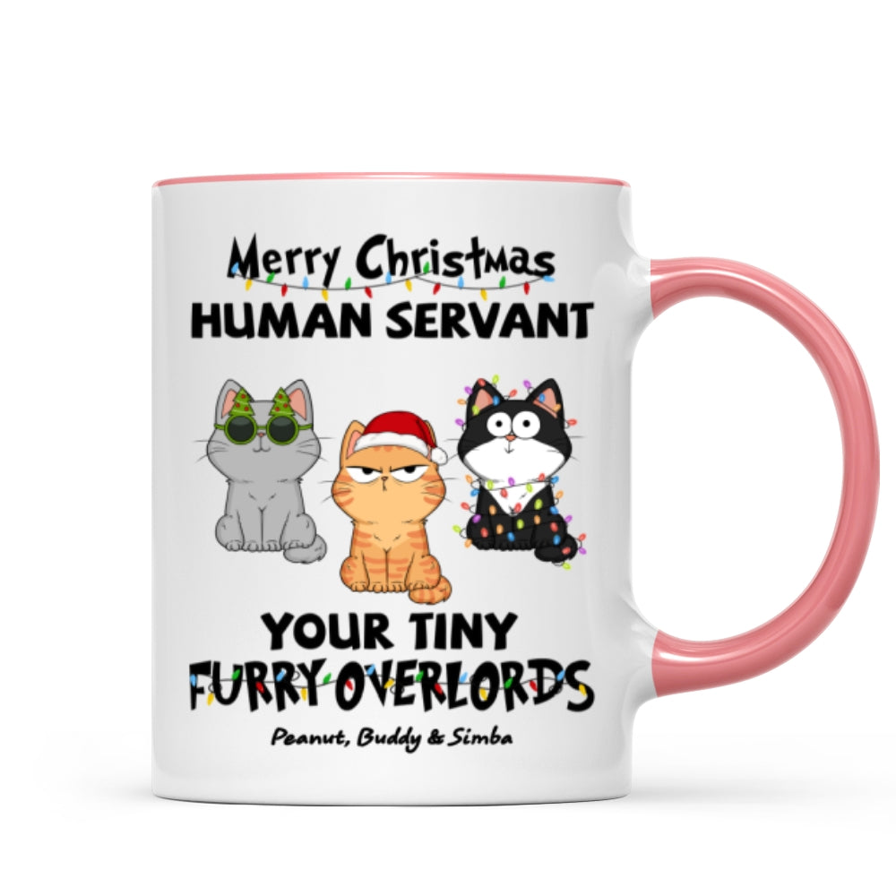 Christmas Fluffy Funny Cats Expressions Merry Christmas Human Servant Personalized Mug