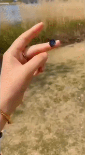 Mini Wifi Hd Hidden Camera