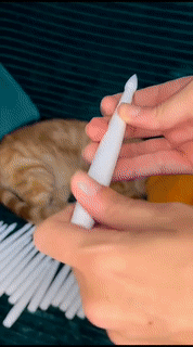 Led Candles With Magic Wand