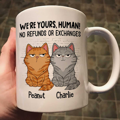 Sorry Human We're Yours Funny Cat Expression Personalized Mug