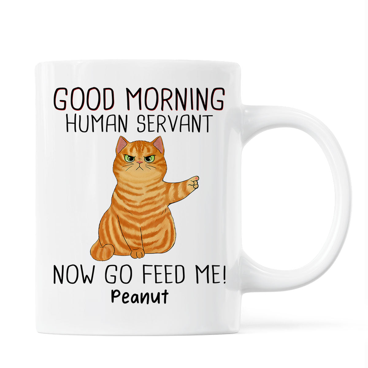 Happy Father's Day Good Morning Now Go Feed Me Grumpy Fluffy Cat Personalized Mug
