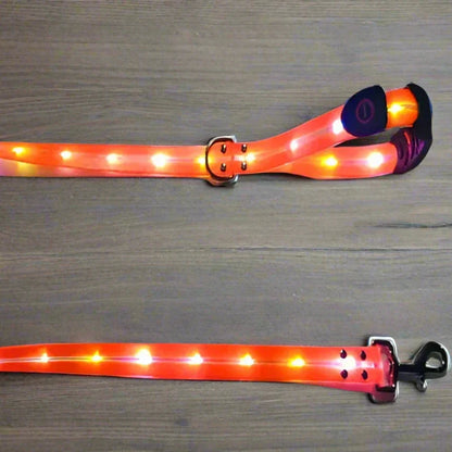 Led Glowing Dog Leash