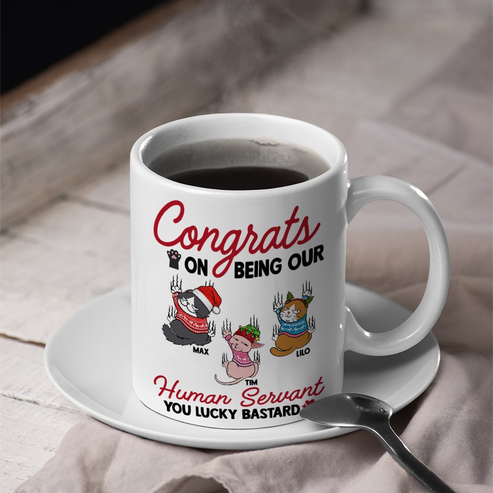 Cats, Our Human Servant, Personalized Mug, Christmas Gifts For Cat Lovers