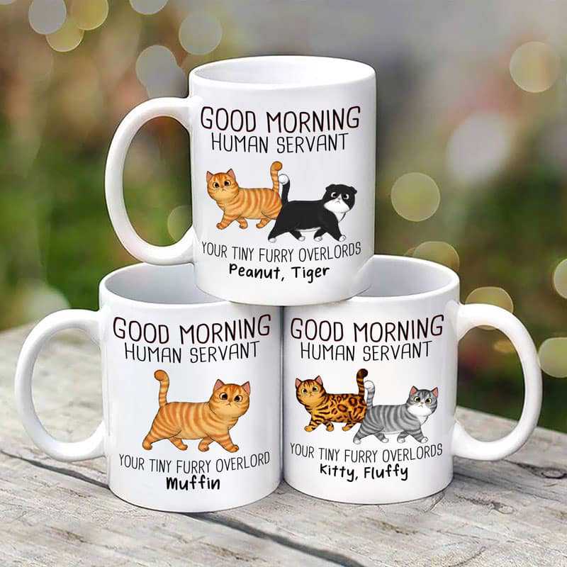 Walking Fluffy Cats Good Morning Cat Human Servant - Personalized Mug