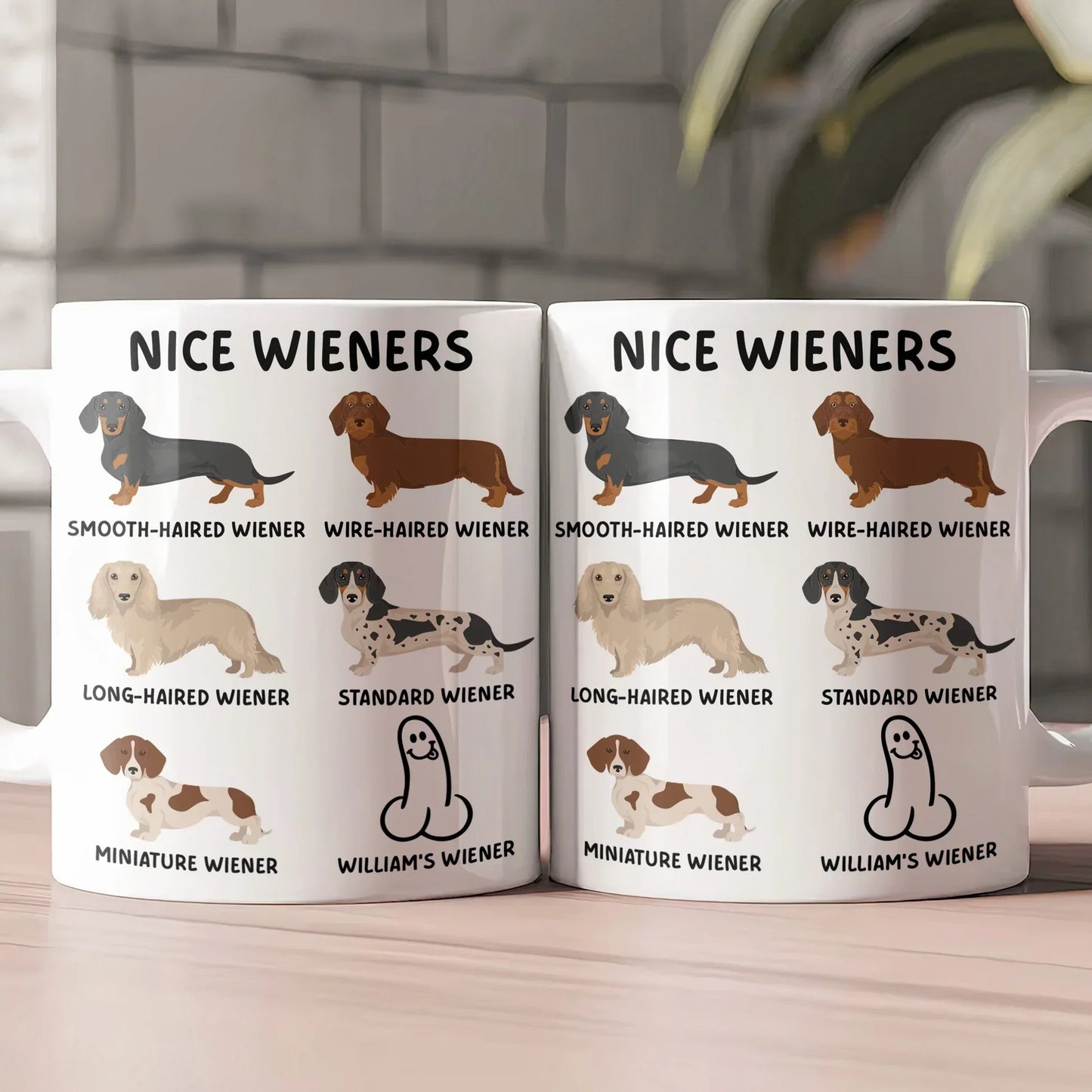 Personalized White Ceramic Mug with Funny Cactus Nice Pricks Design, Unique Gift for Husband or Boyfriend, Fun Naughty Coffee Gift
