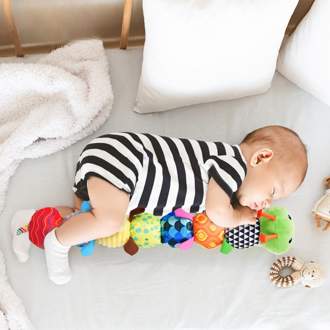 Sensory plush rattle and music caterpillar