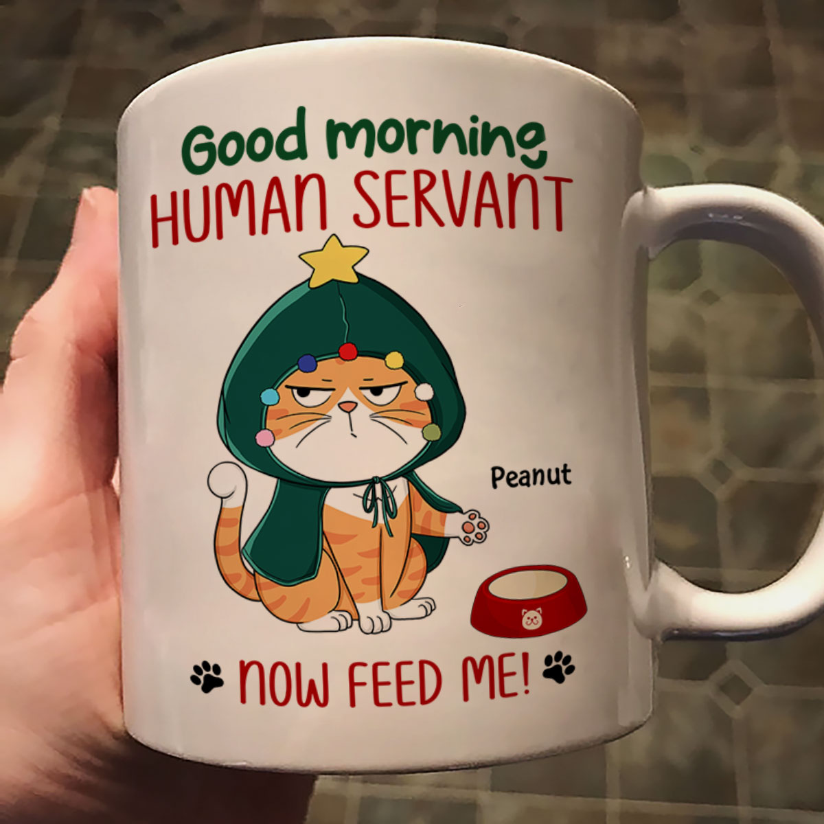 Good Morning Human Servant Now Feed Me Funny Cat Expression Personalized Mug