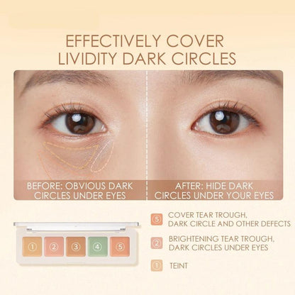 Focallure Color Concealer Palette