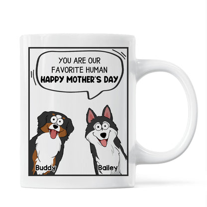 Mom You Are My Favorite Human Happy Mother's Day Conversation Box Gift For Dog Mom Personalized Mug