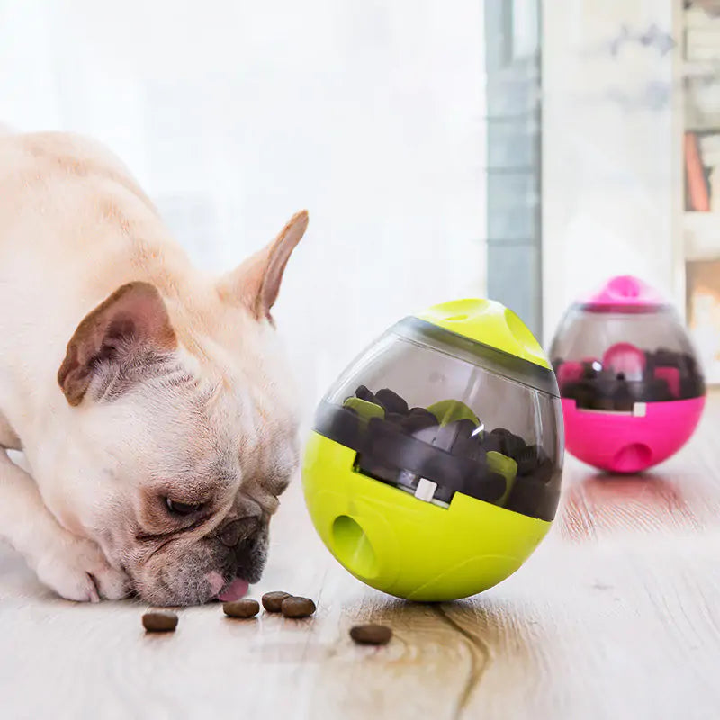 Pet Enrichment Food & Treat Toys