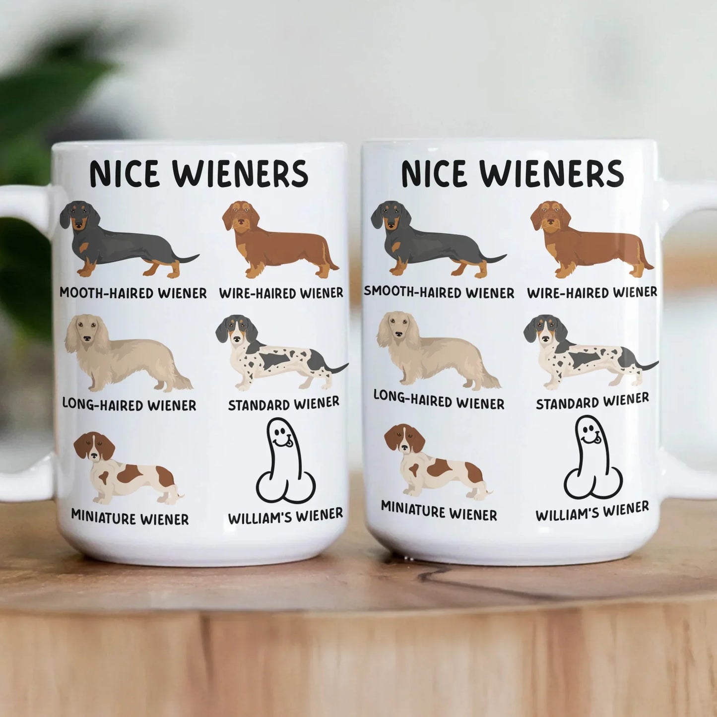 Personalized White Ceramic Mug with Funny Cactus Nice Pricks Design, Unique Gift for Husband or Boyfriend, Fun Naughty Coffee Gift