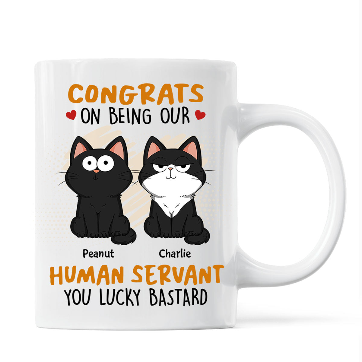 Congrats On Being My Human Servant Funny Cat Expression Personalized Mug