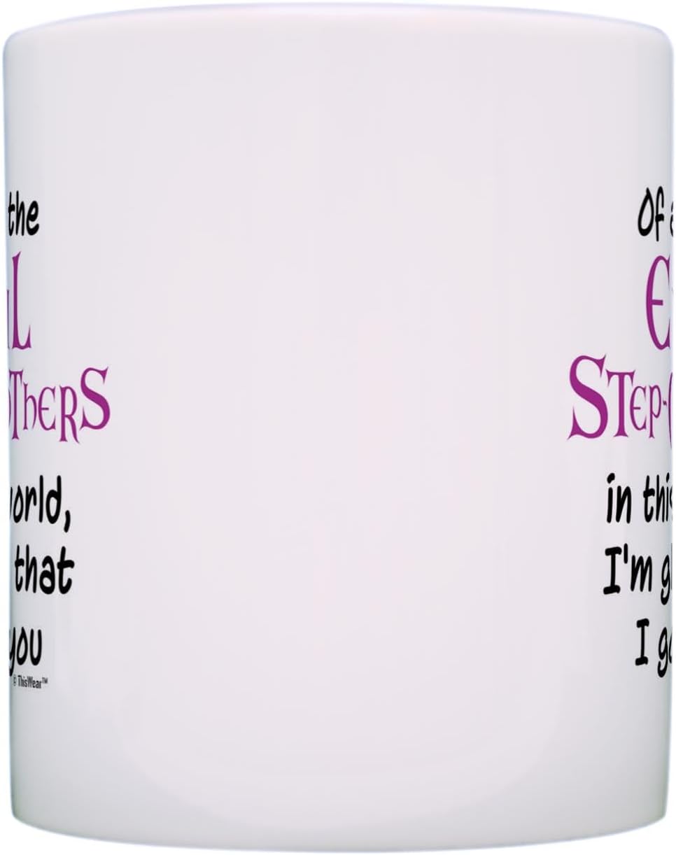 Of All the Evil Step Mothers I'm Glad I Got You Coffee Mug Funny Gift for Stepmom from Stepdaughter Stepson