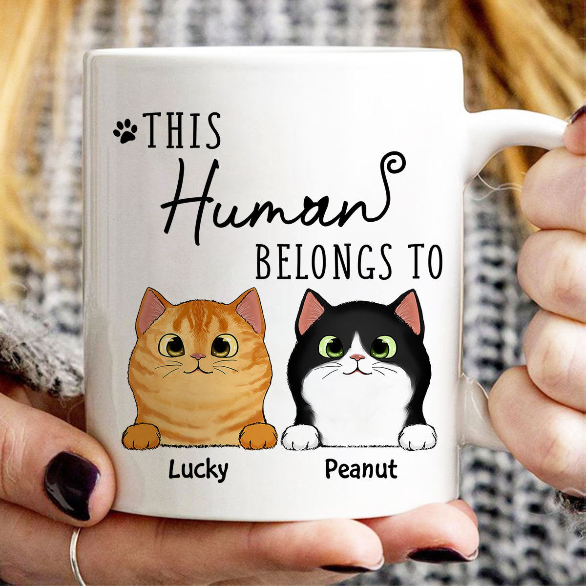 This Human Belongs To Fluffy Cats Personalized Mug