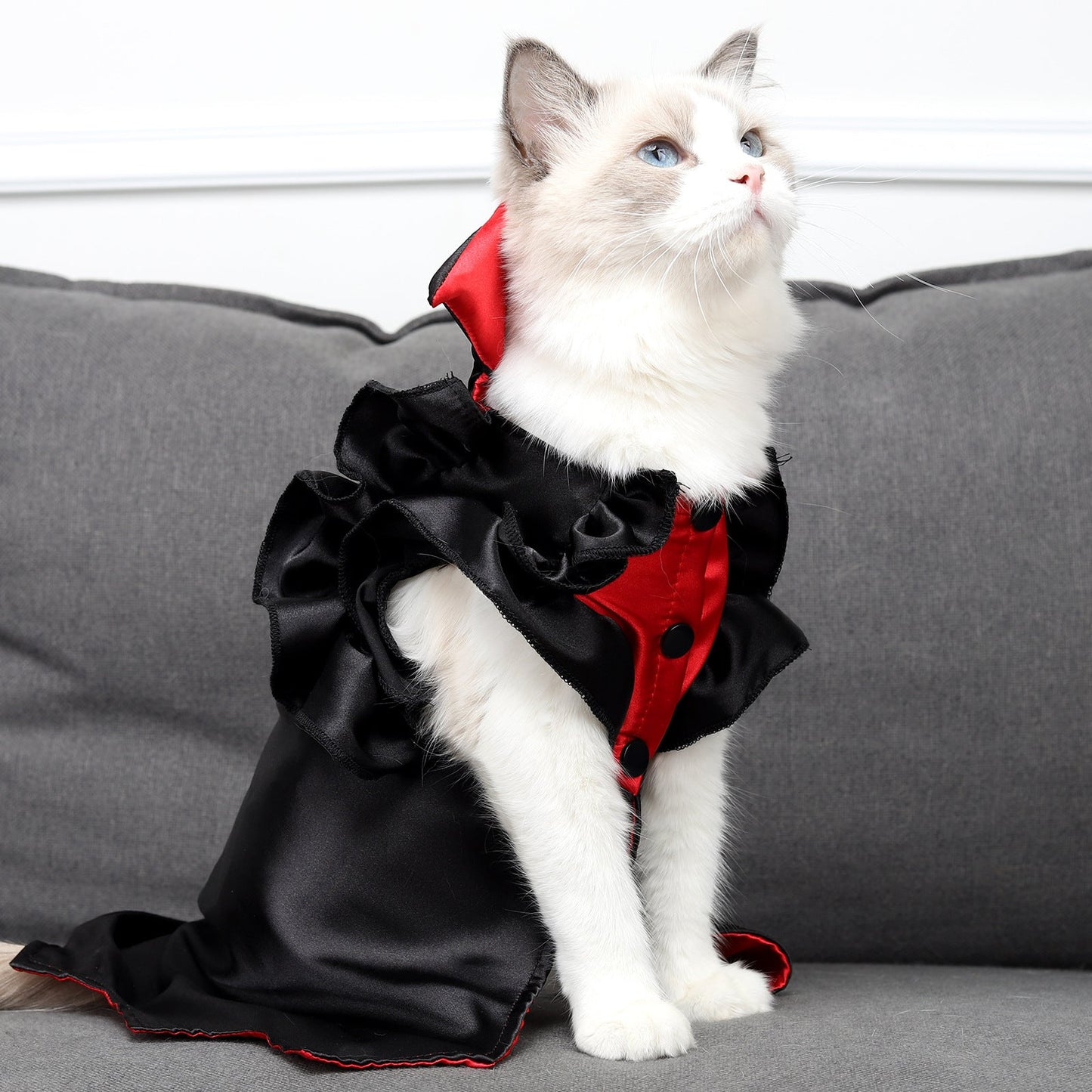Kitty Cat Vampire Costume