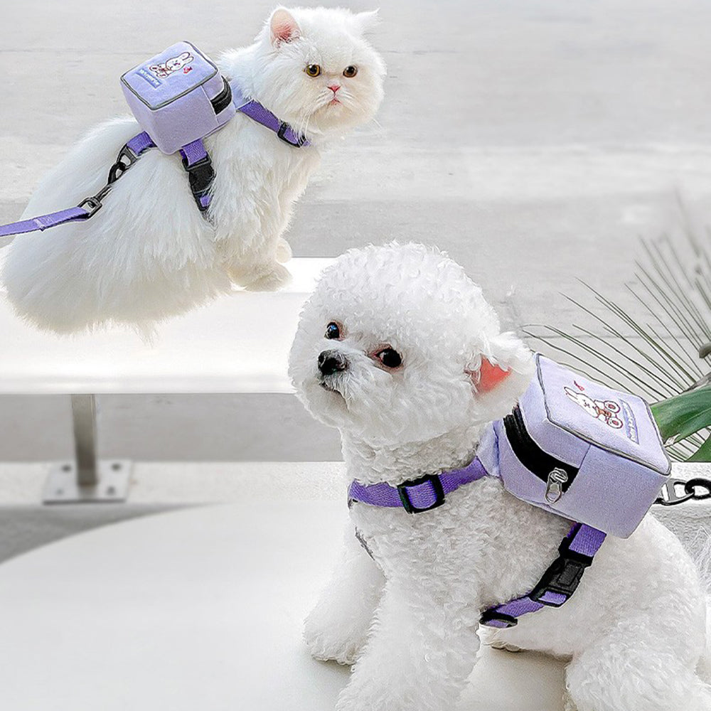 Snack Pouch Dog Harness
