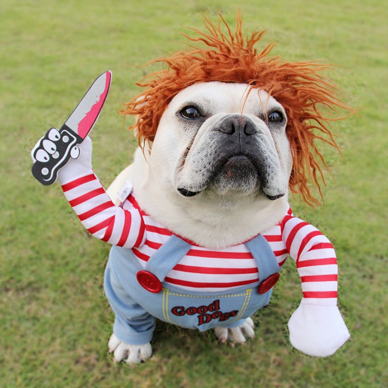 Chucky Halloween Dog Costume