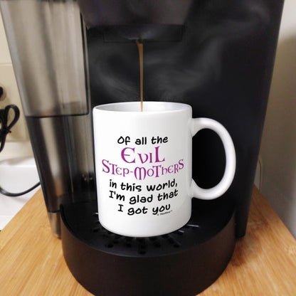 Of All the Evil Step Mothers I'm Glad I Got You Coffee Mug Funny Gift for Stepmom from Stepdaughter Stepson