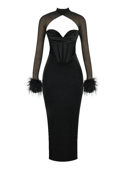 Mesh Long Sleeve Cowl Neck Feather Detail Maxi Dress
