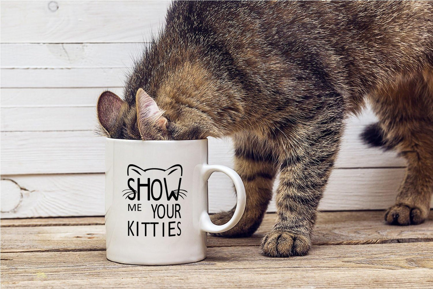 Show Me Your Kitties Coffee Mug Funny Cat Lover Gift for Cat Mom Women Friend Coworker