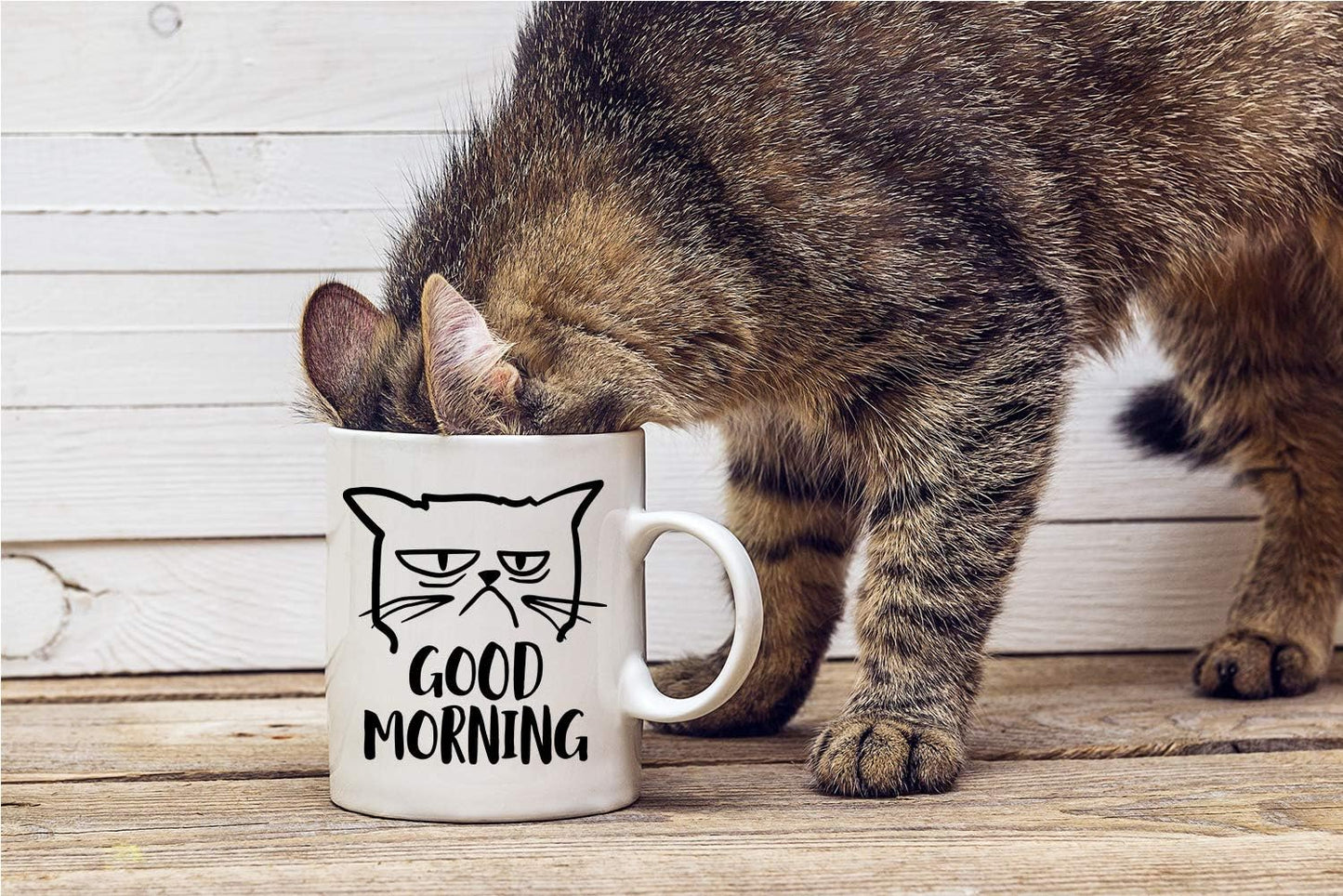 Good Morning Grumpy Cat Coffee Mug Funny Cat Lover Gift for Cat Mom Women Friend