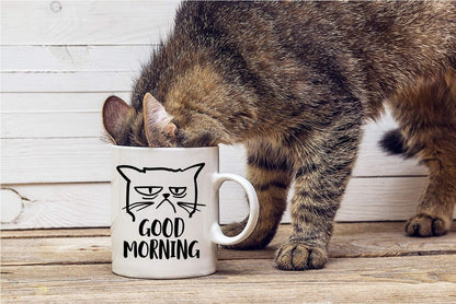 Good Morning Grumpy Cat Coffee Mug Funny Cat Lover Gift for Cat Mom Women Friend