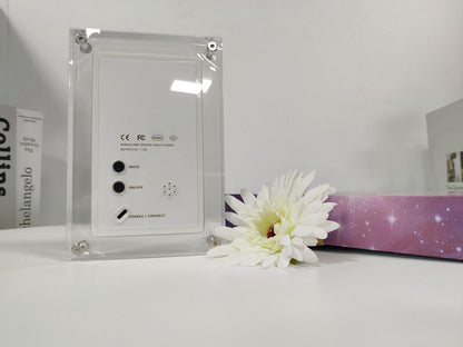 Digital Pet Memory Motion Frame