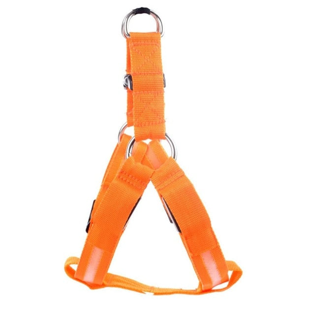 Led Glowing Dog Harness