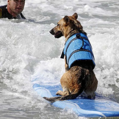 Stylish Dog Life Vest