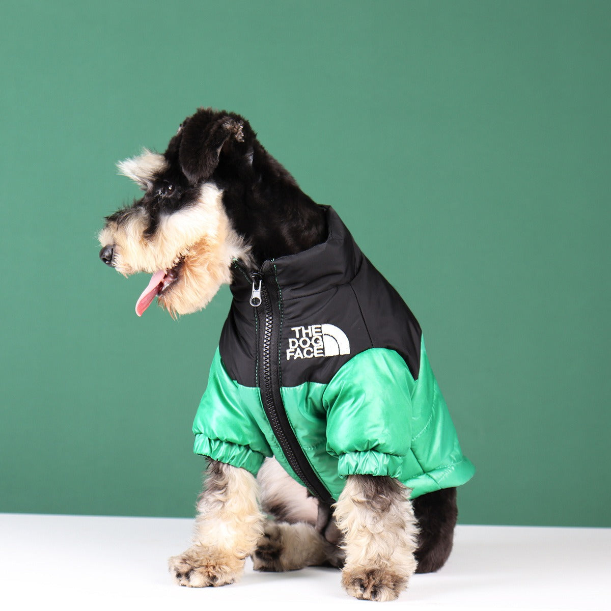 The Dog Face Windbreaker
