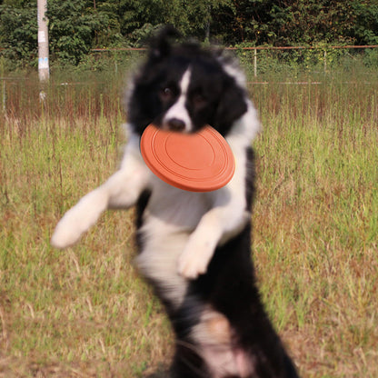 Soft Dog Frisbee