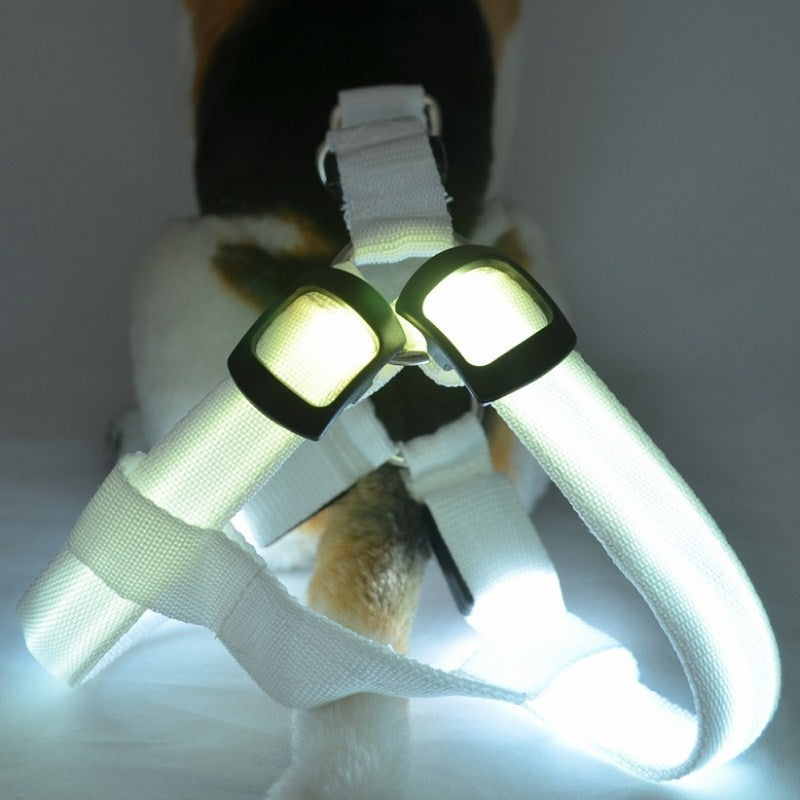 Led Glowing Dog Harness