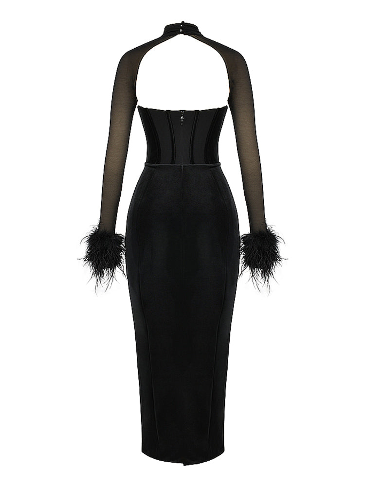 Mesh Long Sleeve Cowl Neck Feather Detail Maxi Dress