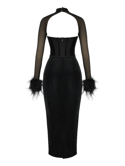 Mesh Long Sleeve Cowl Neck Feather Detail Maxi Dress