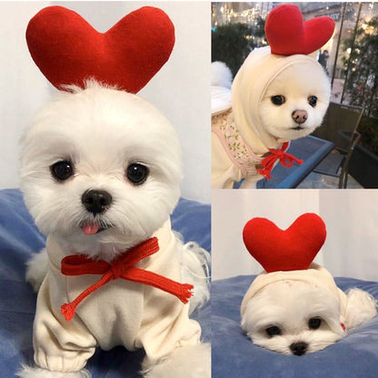 Dog Winter Hoodies