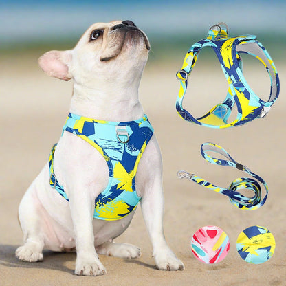 Summer Vibes Dog Harness & Leash Bundle