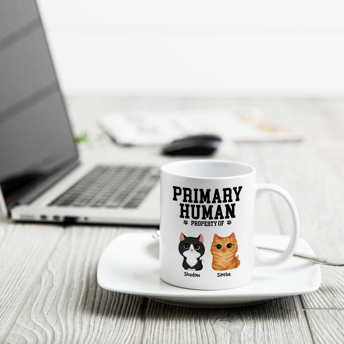 Spare Human Primary Human Funny Gift For Dog Lover or Cat Lover Personalized Mug