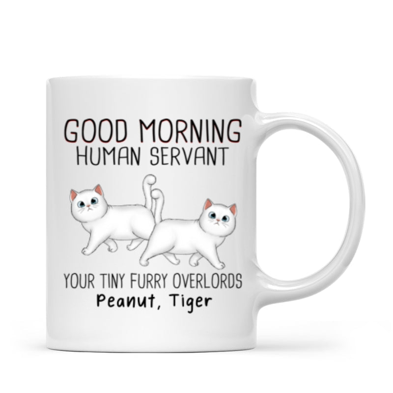 Walking Fluffy Cats Good Morning Cat Human Servant Personalized Mug