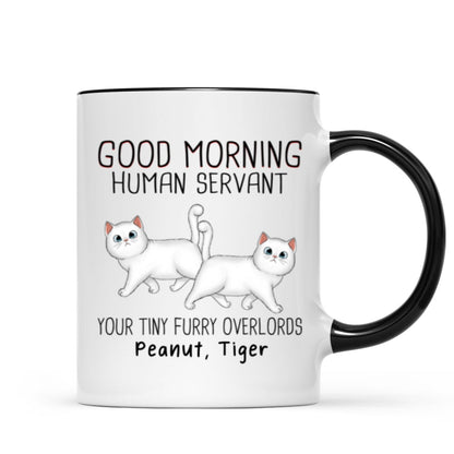 Walking Fluffy Cats Good Morning Cat Human Servant Personalized Mug