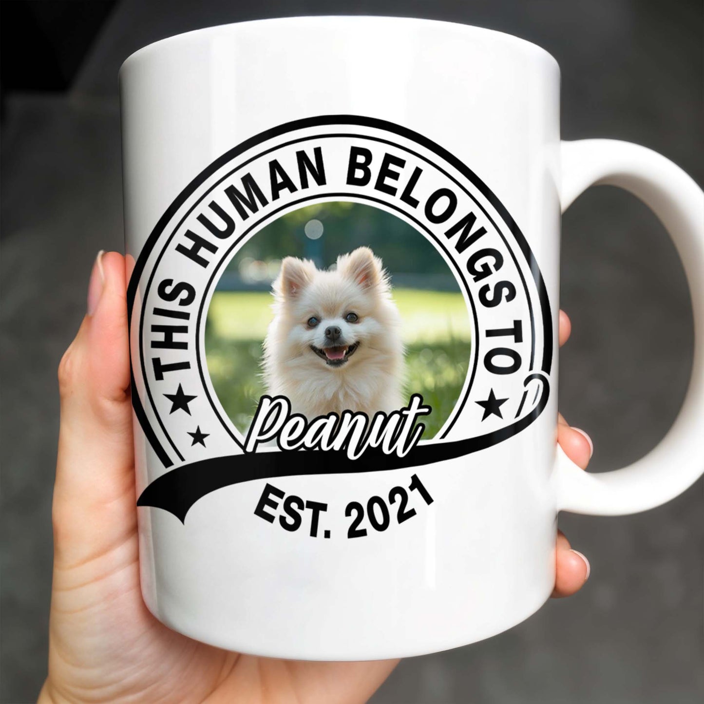 This Human Belongs To Customizable Pet - Personalized Custom Coffee Mug - DOG040_MG