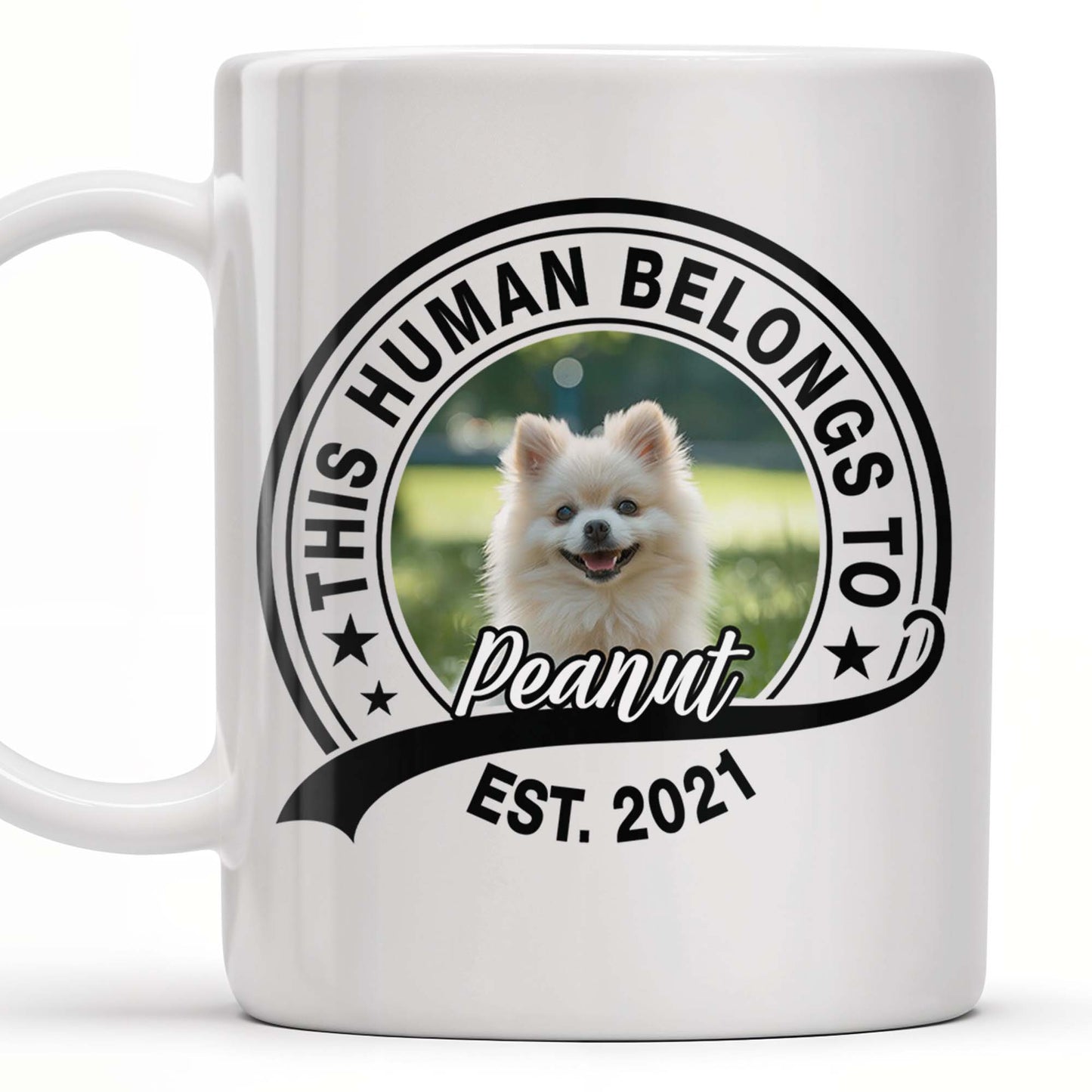 This Human Belongs To Customizable Pet - Personalized Custom Coffee Mug - DOG040_MG
