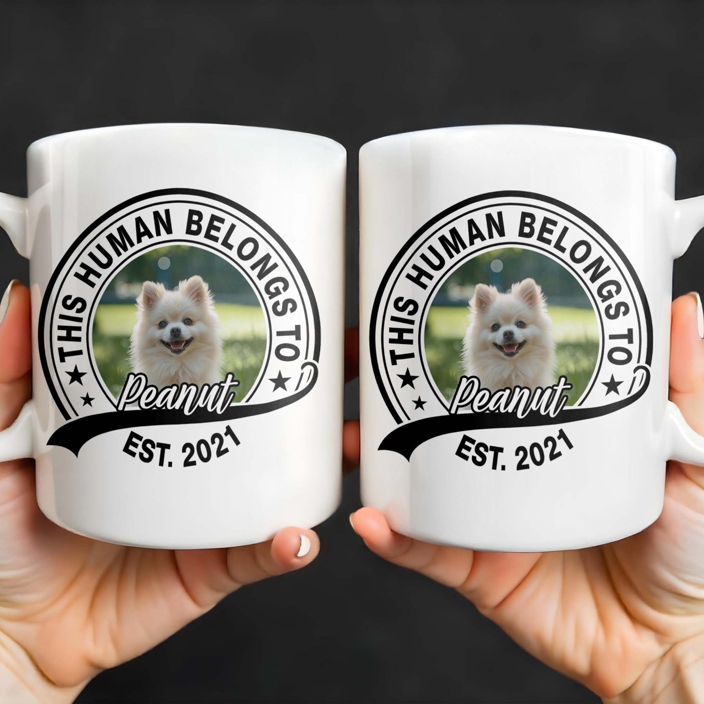 This Human Belongs To Customizable Pet - Personalized Custom Coffee Mug - DOG040_MG