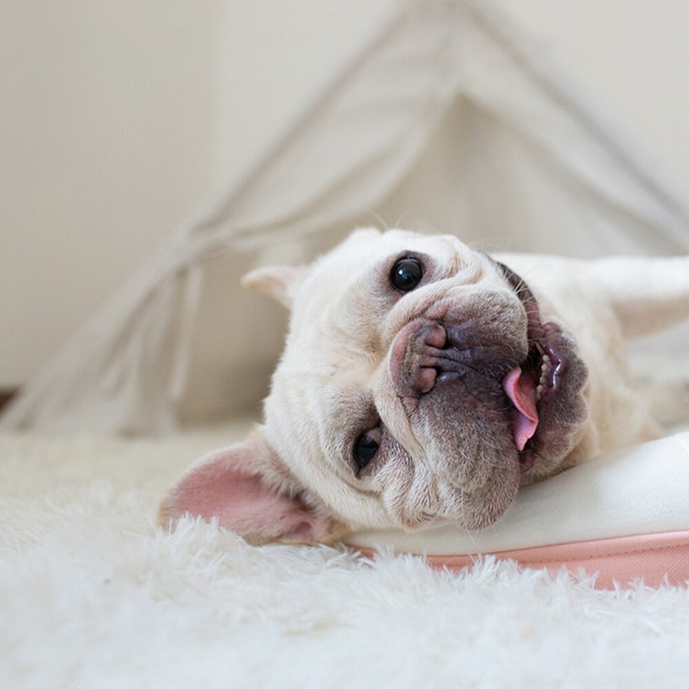 Fluffy Plush Pet Blanket